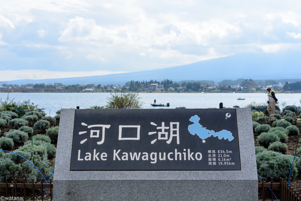 f:id:watnainai:20181022231125j:plain