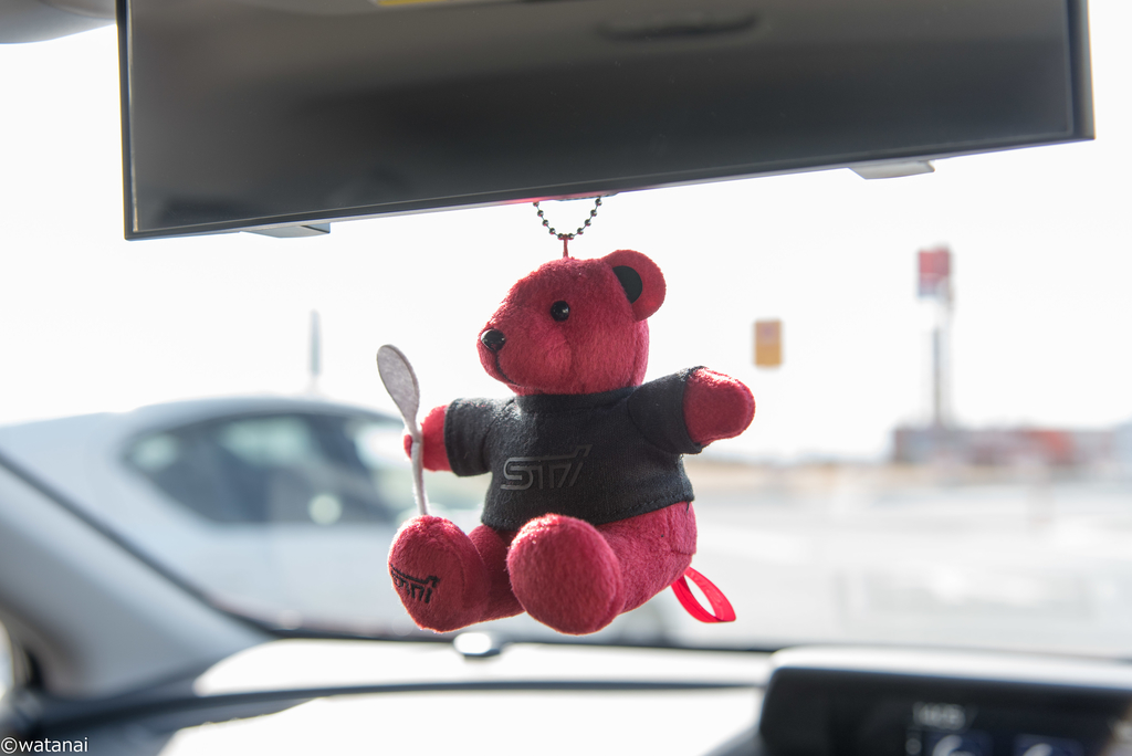 f:id:watnainai:20190211000256j:plain f:id:watnainai:20190211000256j:plain