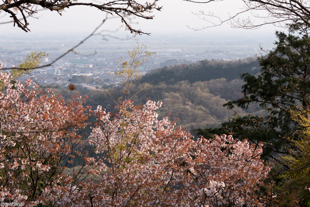 f:id:watnainai:20190408000946j:plain