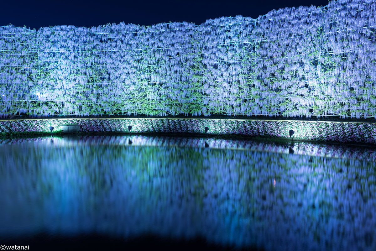 f:id:watnainai:20190429004853j:plain