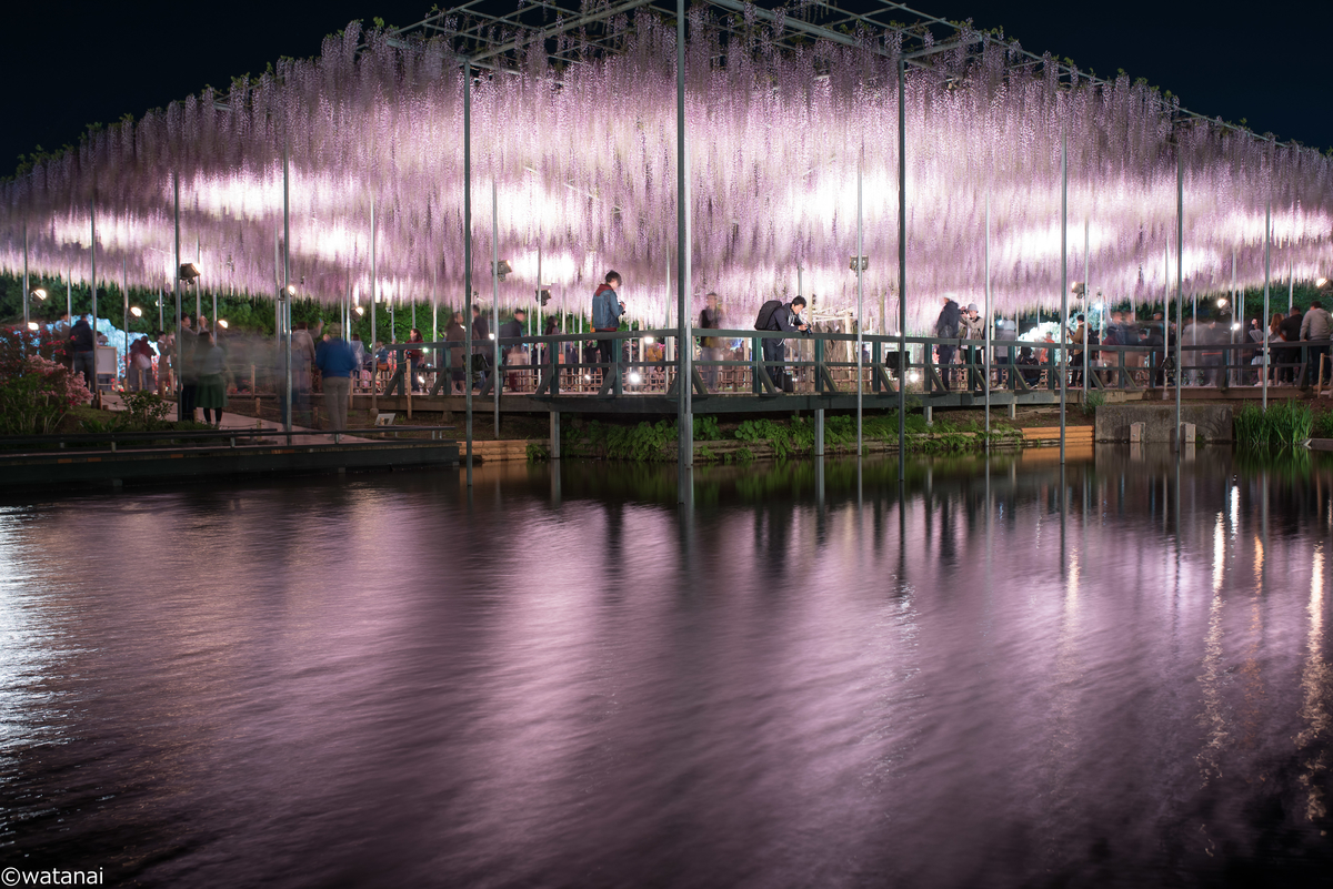 f:id:watnainai:20190429005128j:plain