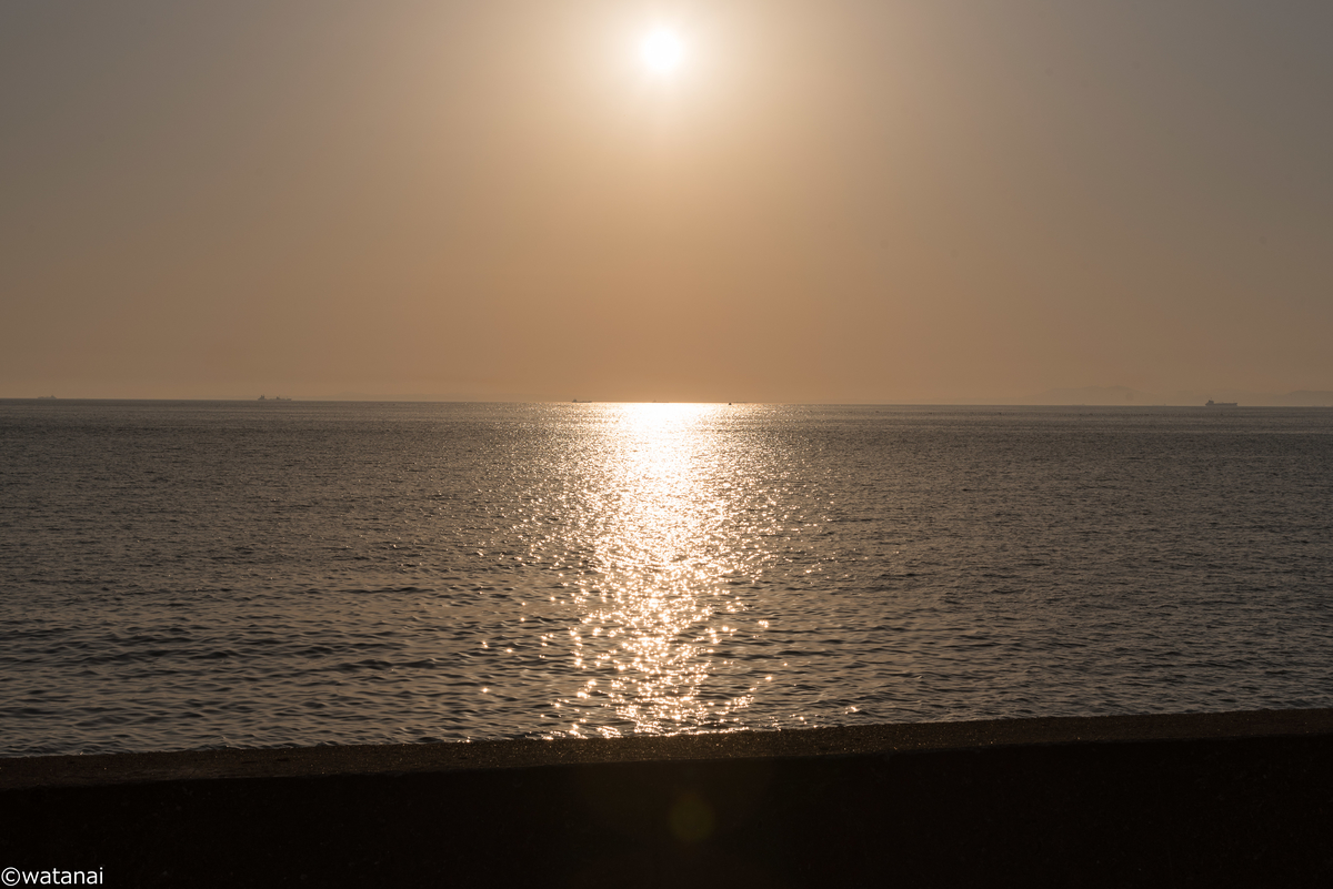 f:id:watnainai:20190530003915j:plain f:id:watnainai:20190530003915j:plain