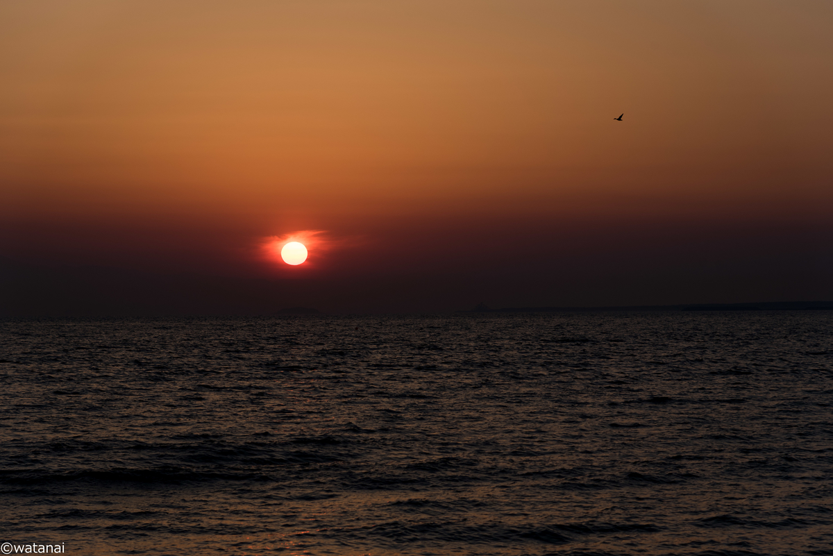 f:id:watnainai:20190530004048j:plain f:id:watnainai:20190530004048j:plain