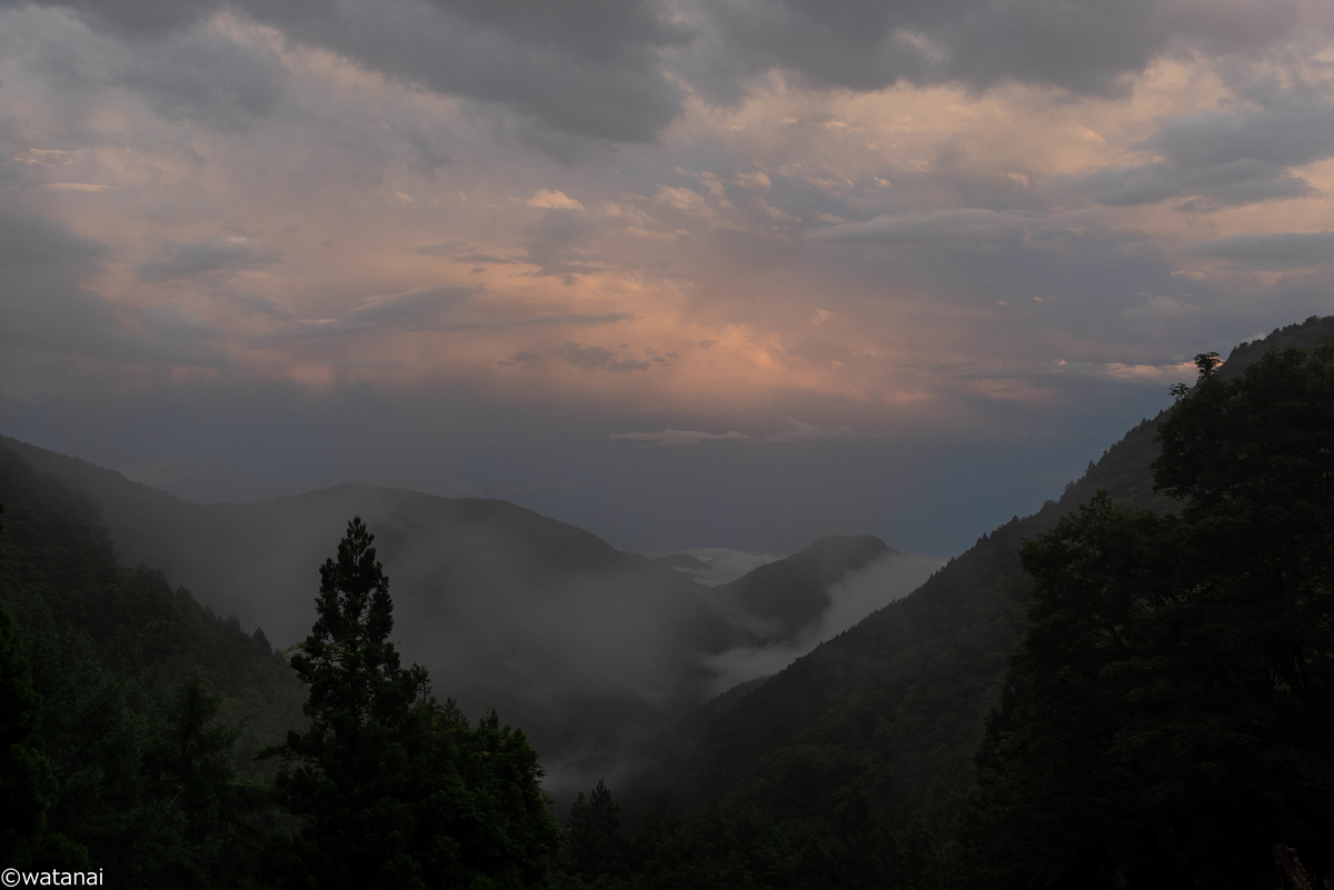 f:id:watnainai:20200713003038j:plain f:id:watnainai:20200713003038j:plain