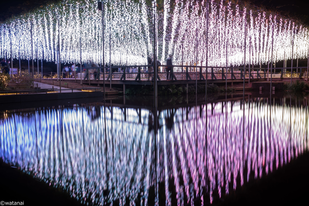 f:id:watnainai:20211017014559j:plain