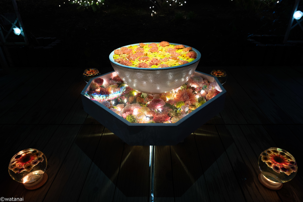 f:id:watnainai:20211017022635j:plain