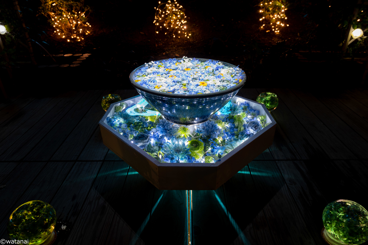 f:id:watnainai:20211017222939j:plain