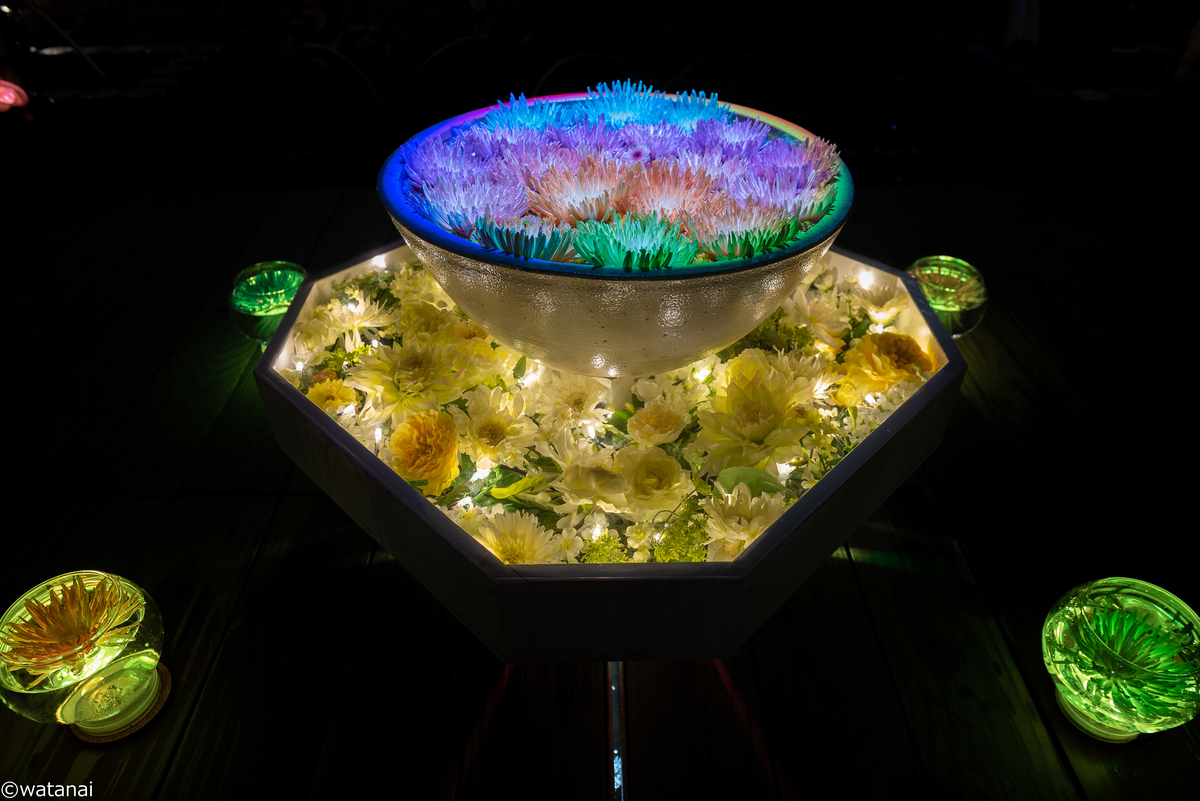 f:id:watnainai:20211017223225j:plain