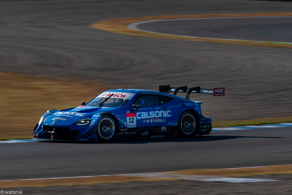 m*y様 王冠竜　12号 m*y様 王冠竜 12号 m*y様 王冠竜 12号