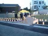 f:id:watonagomi:20100403182500j:image f:id:watonagomi:20100403182500j:image
