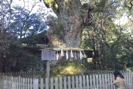 f:id:watto:20150105121011j:image
