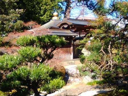 f:id:watto:20160311150309j:plain