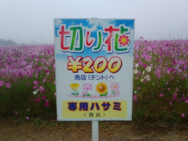 f:id:watto:20161028135008j:plain