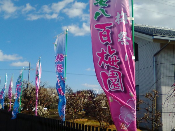 f:id:watto:20170303141723j:plain