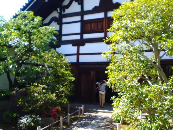 f:id:watto:20170604145554j:plain