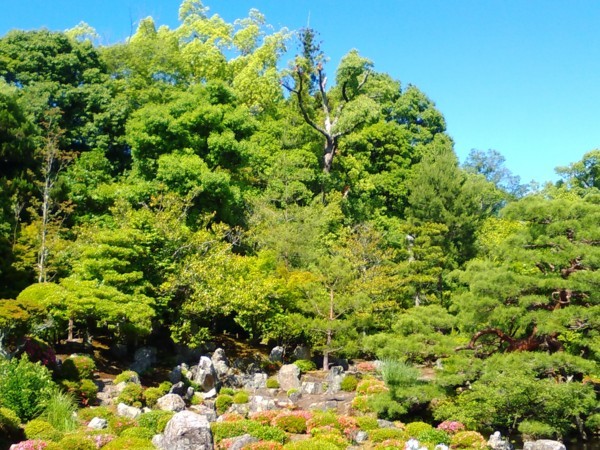 f:id:watto:20170604145813j:plain