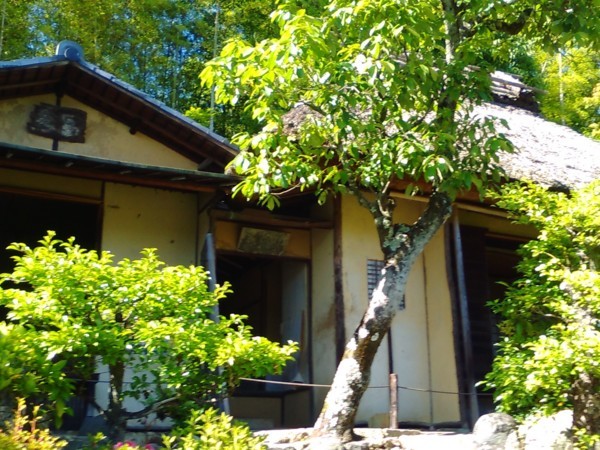 f:id:watto:20170604145938j:plain