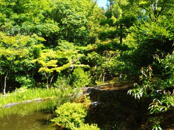 f:id:watto:20170604150655j:plain