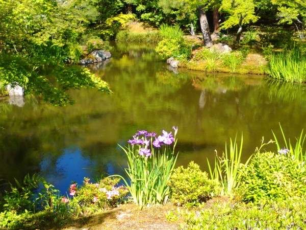 f:id:watto:20170604151049j:plain