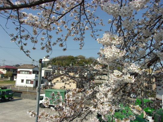 f:id:watto:20180328144822j:plain