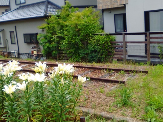 f:id:watto:20180617193246j:plain f:id:watto:20180617193246j:plain