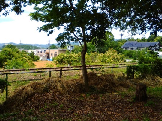 f:id:watto:20180617220351j:plain f:id:watto:20180617220351j:plain