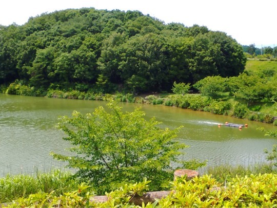 f:id:watto:20180617221119j:plain f:id:watto:20180617221119j:plain