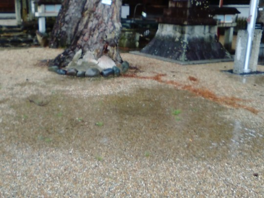 f:id:watto:20180813211233j:plain f:id:watto:20180813211233j:plain