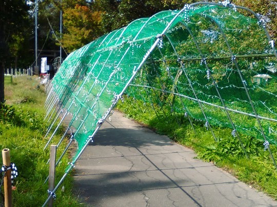 f:id:watto:20181028224327j:plain f:id:watto:20181028224327j:plain