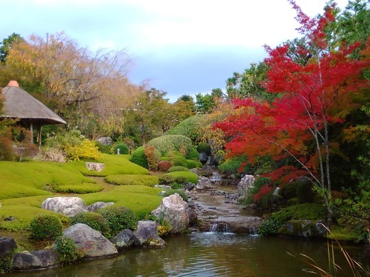 f:id:watto:20181105180216j:plain