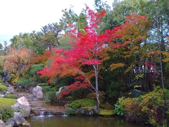 f:id:watto:20181105180220j:plain