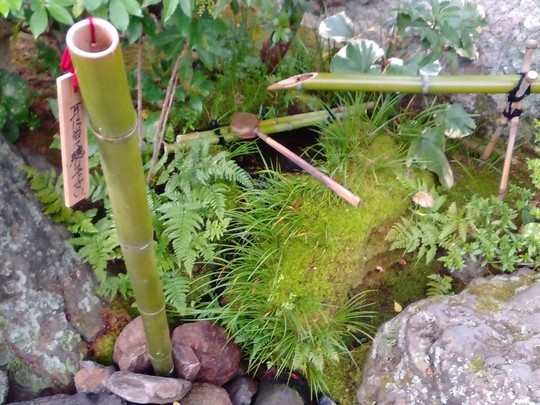 f:id:watto:20181105180225j:plain