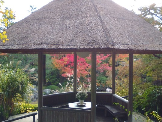 f:id:watto:20181105180354j:plain