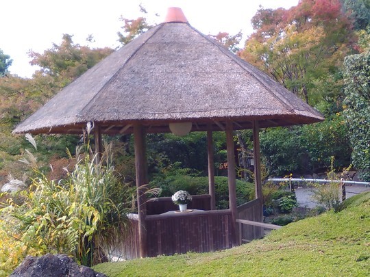 f:id:watto:20181105180359j:plain