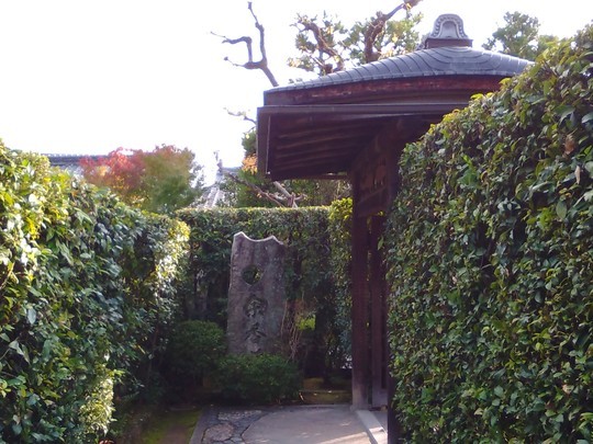 f:id:watto:20181105180517j:plain