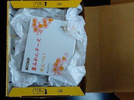f:id:watto:20190126145634j:plain