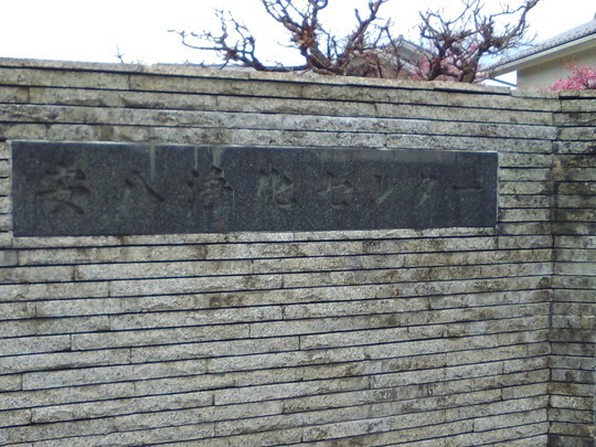 f:id:watto:20190214224921j:plain