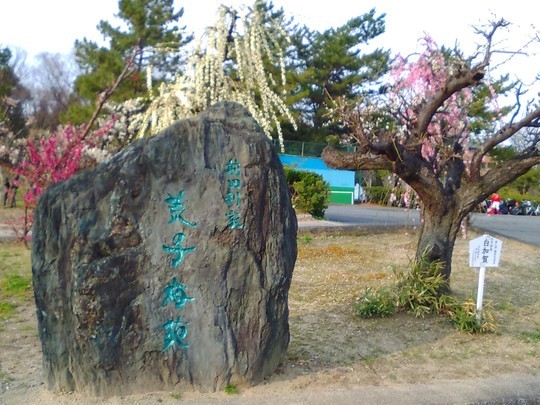 f:id:watto:20190308010831j:plain