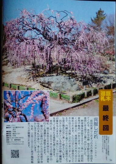 f:id:watto:20190308011035j:plain