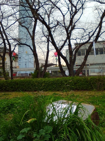 f:id:watto:20190319233623j:plain f:id:watto:20190319233623j:plain
