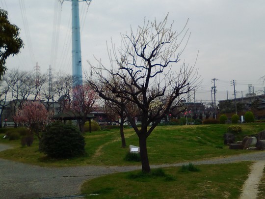 f:id:watto:20190319234148j:plain f:id:watto:20190319234148j:plain