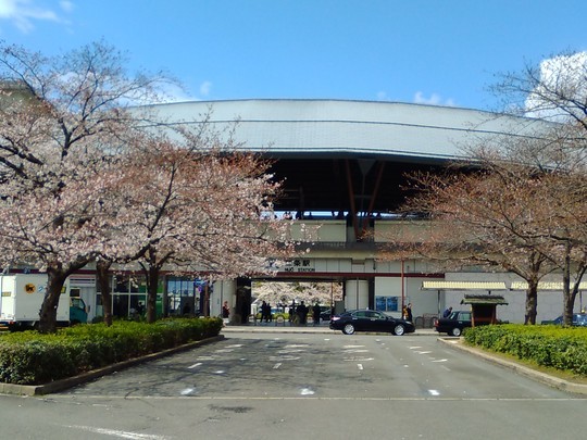 f:id:watto:20190401032727j:plain