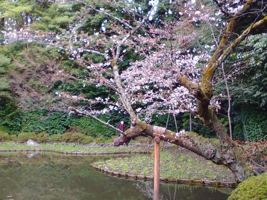 f:id:watto:20190402121130j:plain