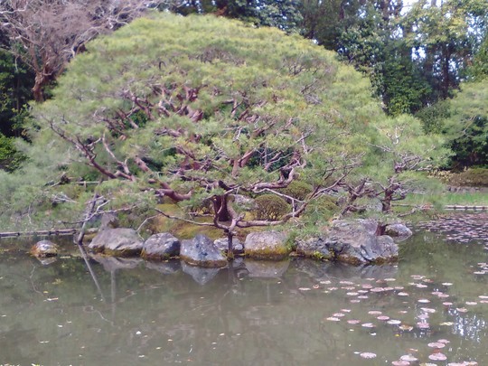 f:id:watto:20190402121135j:plain
