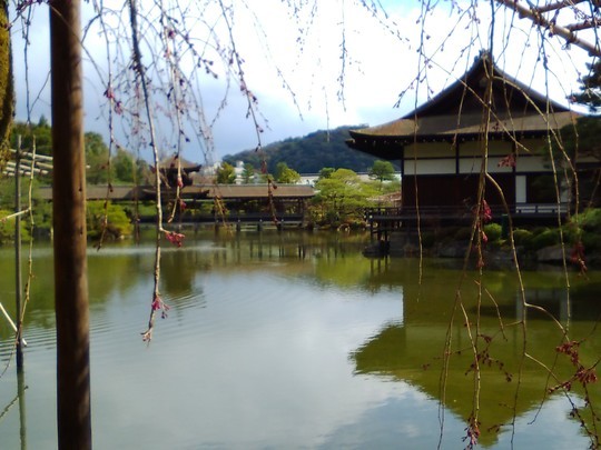 f:id:watto:20190402122139j:plain