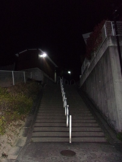 f:id:watto:20190402214252j:plain