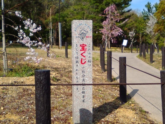 f:id:watto:20190406120958j:plain f:id:watto:20190406120958j:plain