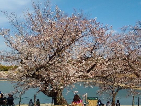 f:id:watto:20190406121023j:plain f:id:watto:20190406121023j:plain