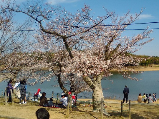 f:id:watto:20190406121121j:plain f:id:watto:20190406121121j:plain