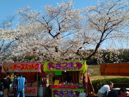 f:id:watto:20190406121126j:plain f:id:watto:20190406121126j:plain